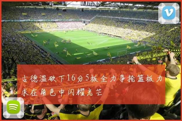 古德温砍下16分5板全力争抢篮板力求在角色中闪耀光芒